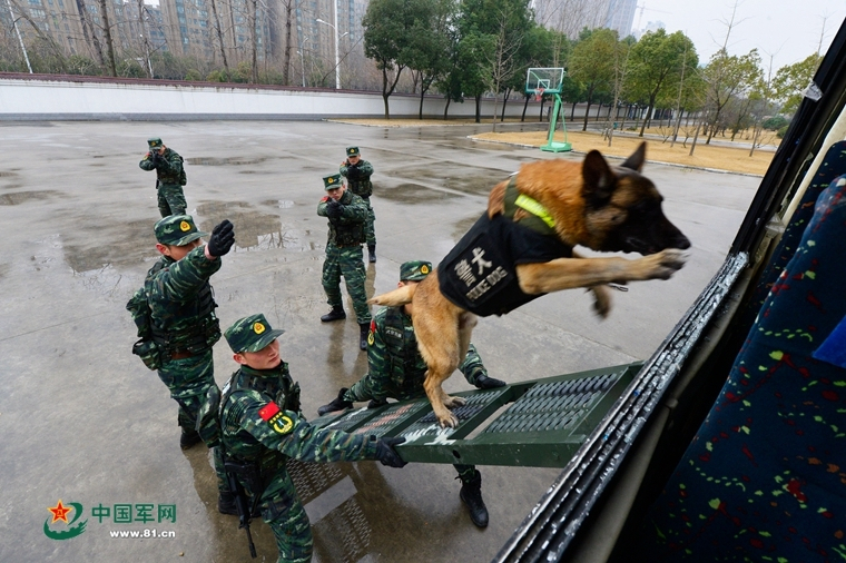 黄金四个9和五个九有什么区别