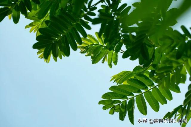 古来江左多佳句，浅夏胜春最可人 