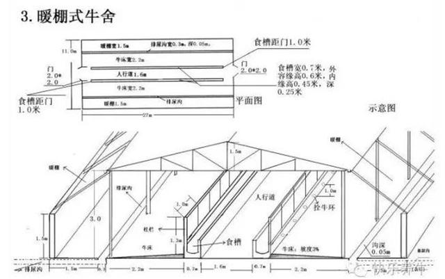 养牛场设计和建设方案 